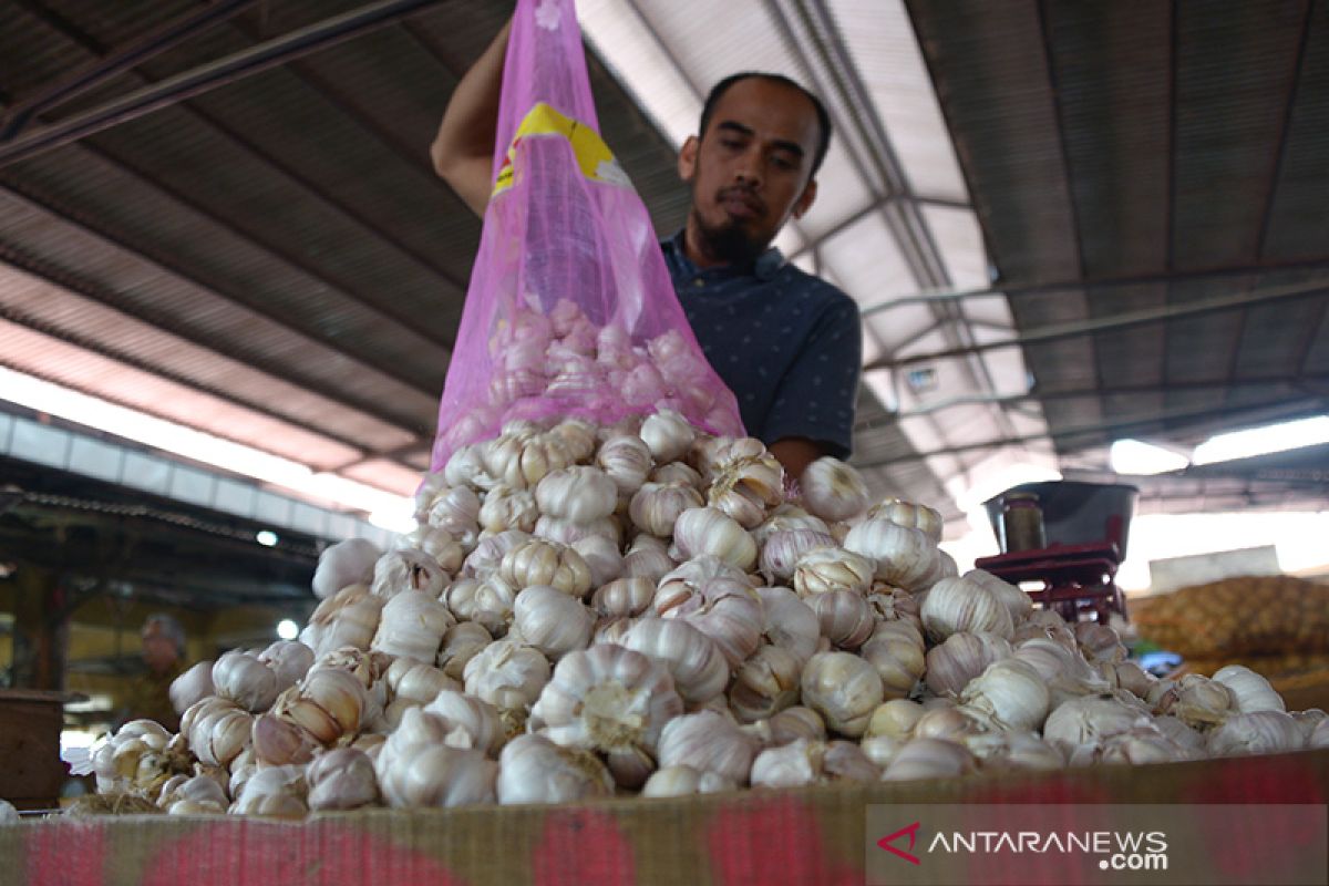 Harga bawang putih impor naik