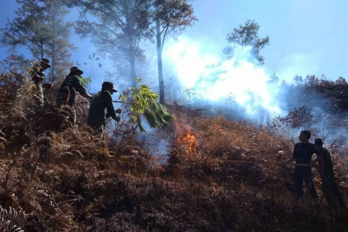 13 hektare lahan kebun hangus terbakar di Aceh