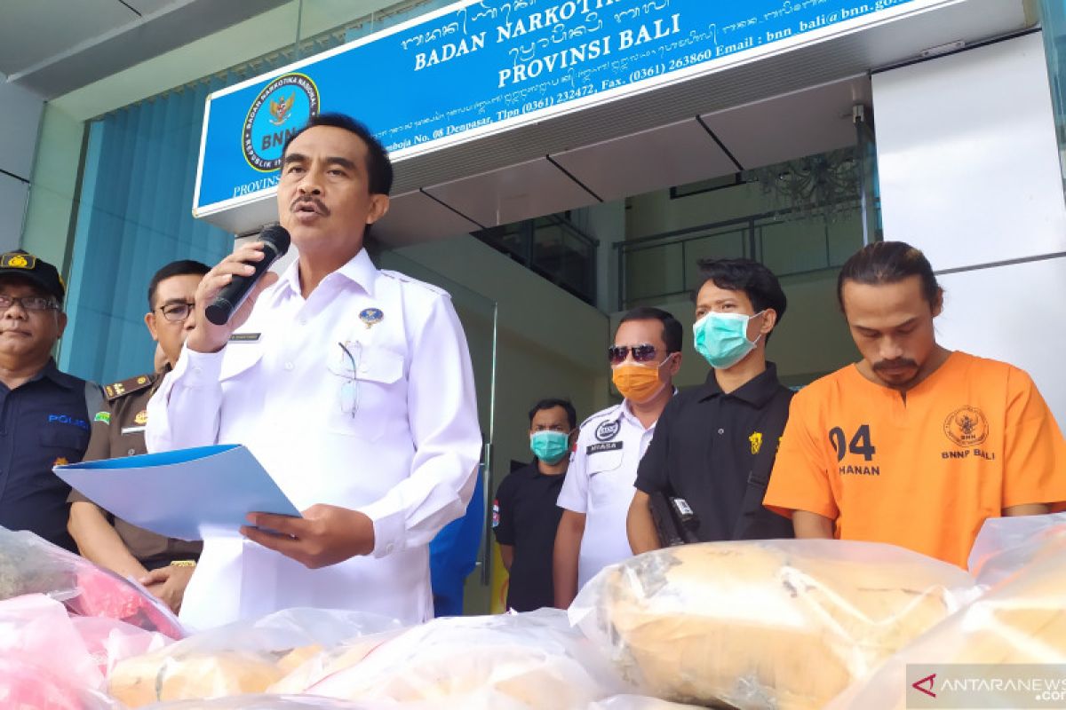 BNNP Bali memusnahkan 53 paket ganja kering jaringan Medan-Bali