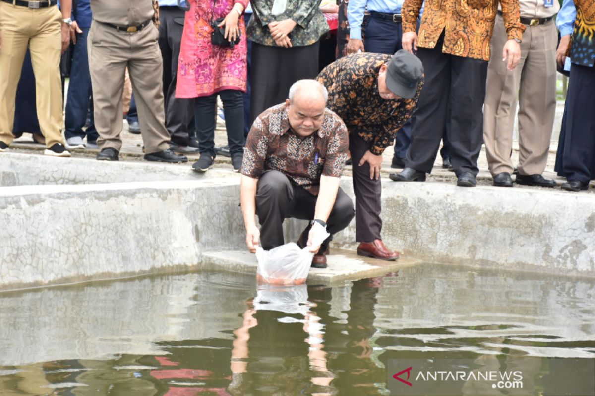 Wagub DIY : sektor perikanan budidaya potensial dikembangkan