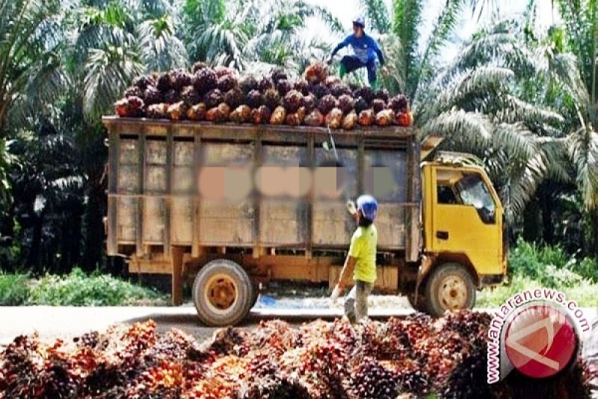 Legislator Kotim prihatin program CSR belum dikelola dengan baik