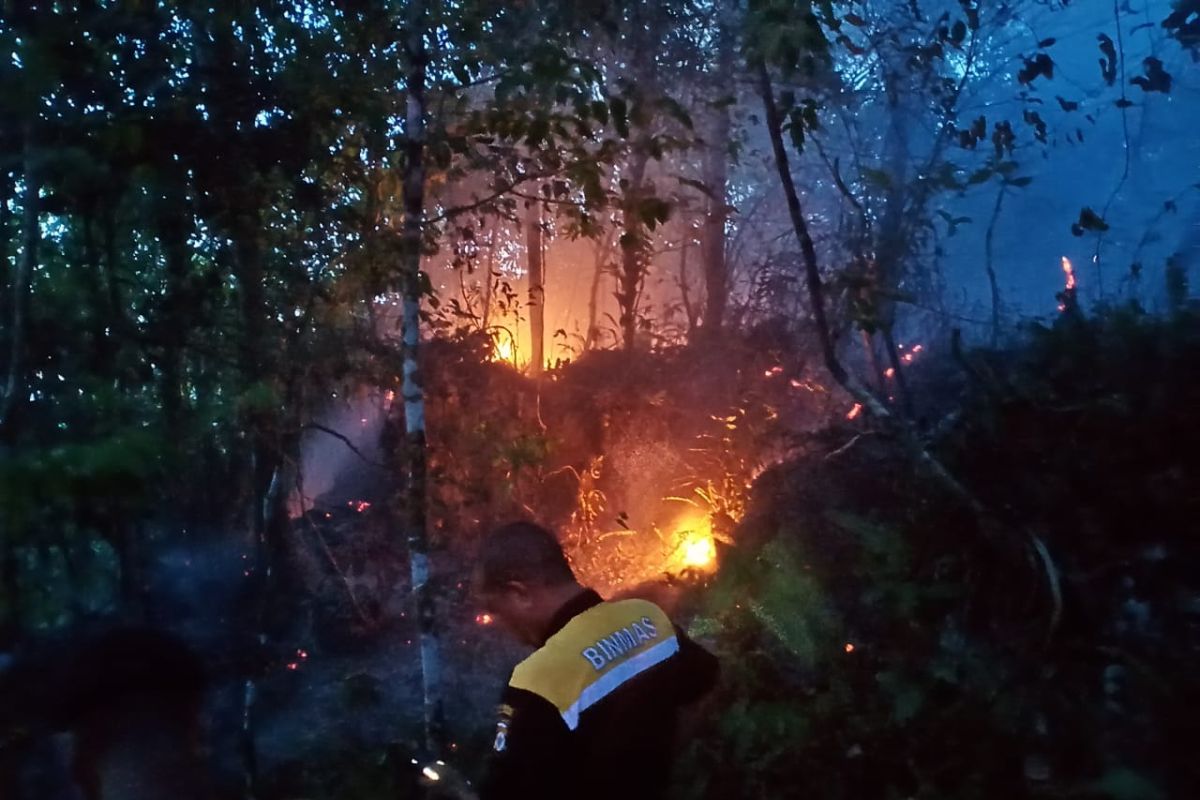 Kebakaran lahan dan hutan kembali terjadi di pulau ambon