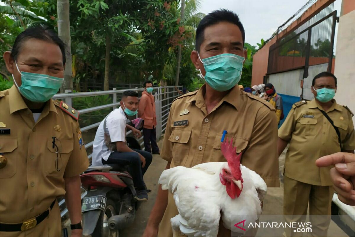Dinas Pertanian Palembang siapkan vaksin  gratis cegah flu burung