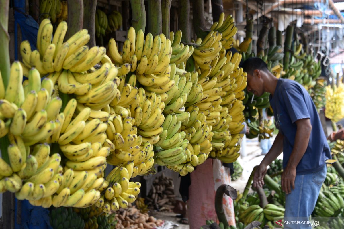 Serat dalam pisang bisa atur tekanan darah untuk kesehatan jantung
