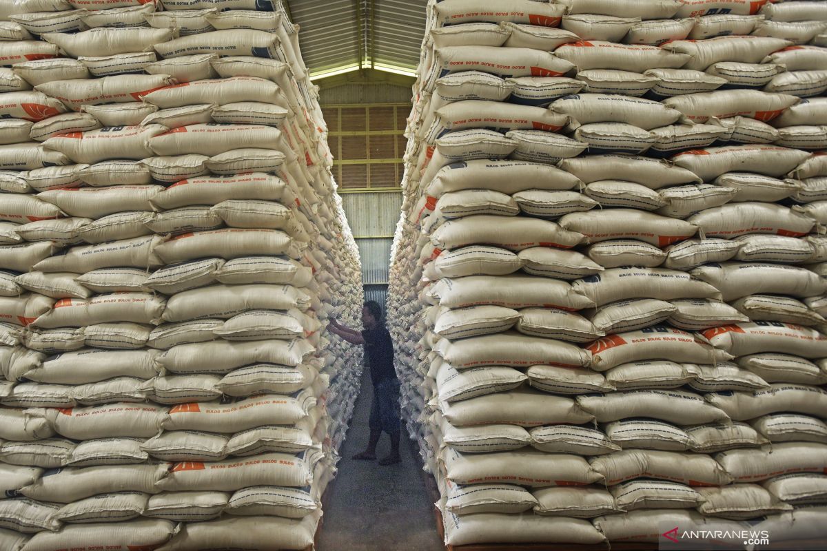 Bulog rice stock in S Kalimantan enough for five months