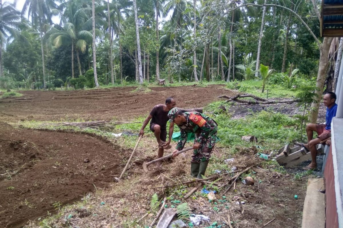 TNI di Sangihe bantu warga olah lahan pertanian
