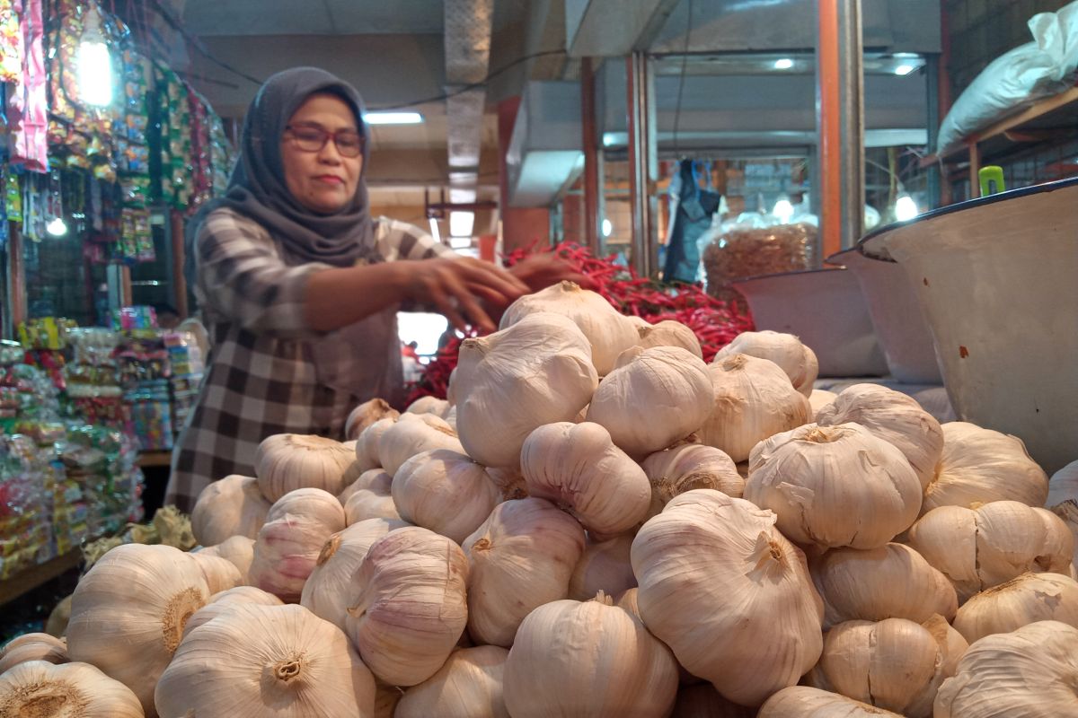 Gara-gara virus Corona, harga bawang putih capai Rp60.000 per kilogram di pasar Raya Padang