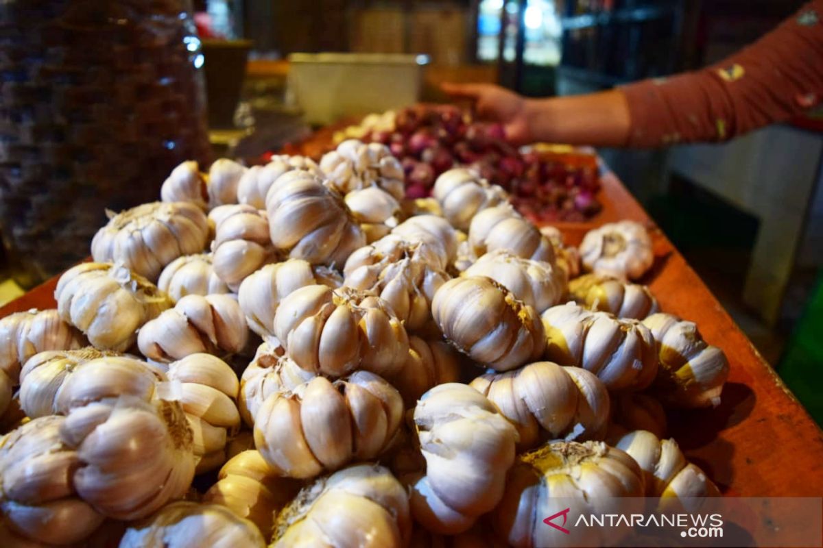 Harga bawang putih di Agam naik Rp18.000 per kilogram