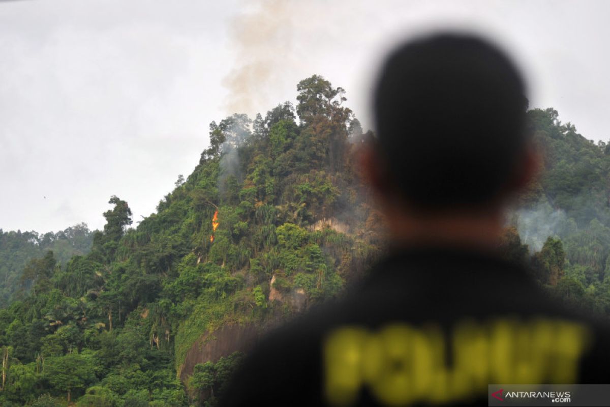 Guru Besar IPB ingatkan tidak lengah mengantisipasi potensi karhutla