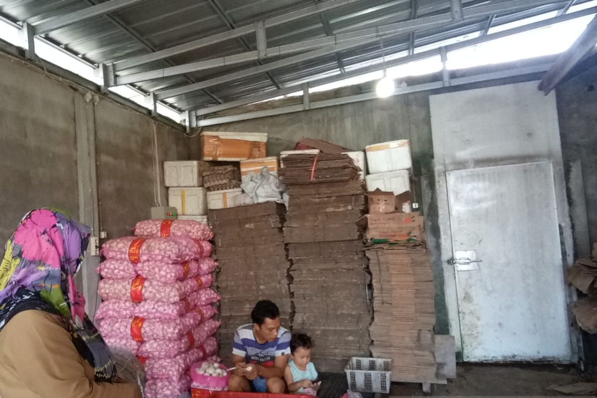 Kebutuhan bawang putih di Belitung mencapai 371 ton per tahun