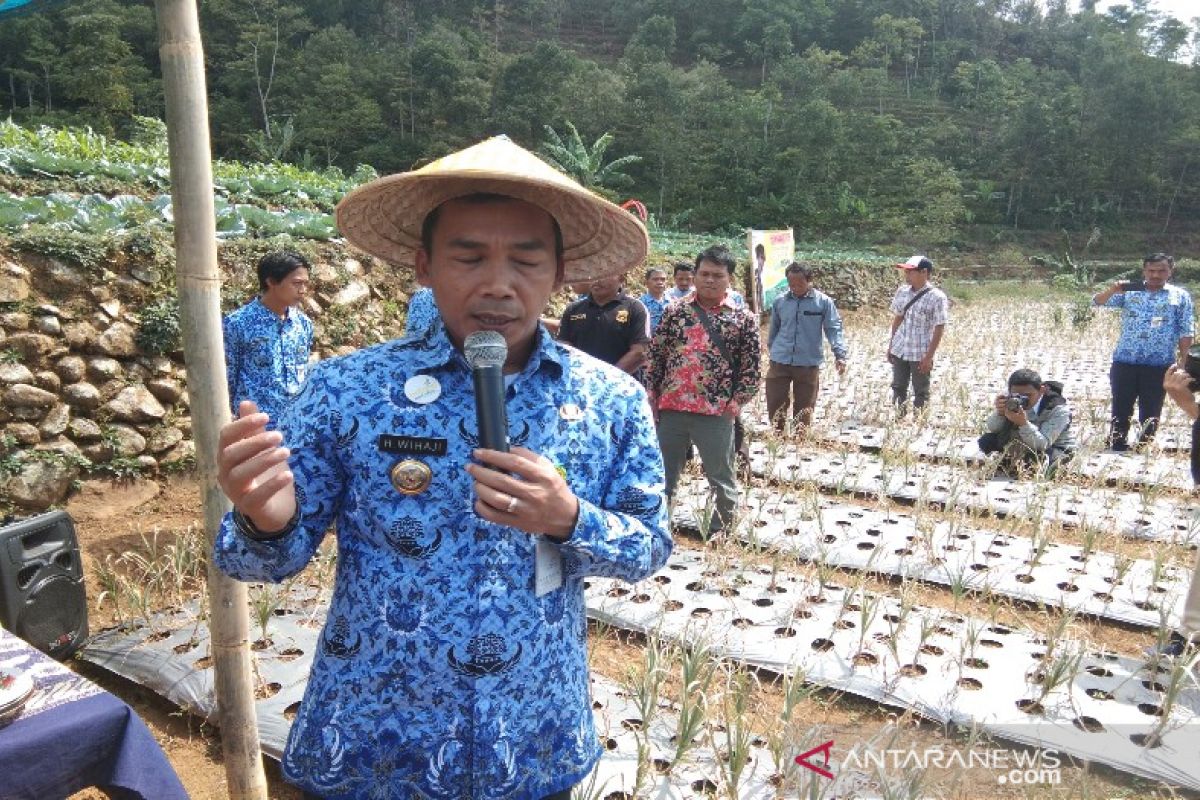 Pemkab Batang gandeng Bulog siap operasi pasar bawang putih