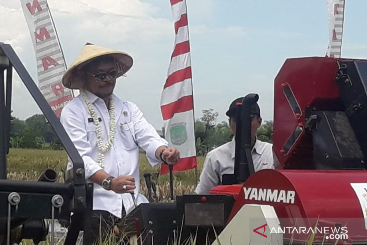 Mentan minta asyarakat jangan panik terkait bawang putih