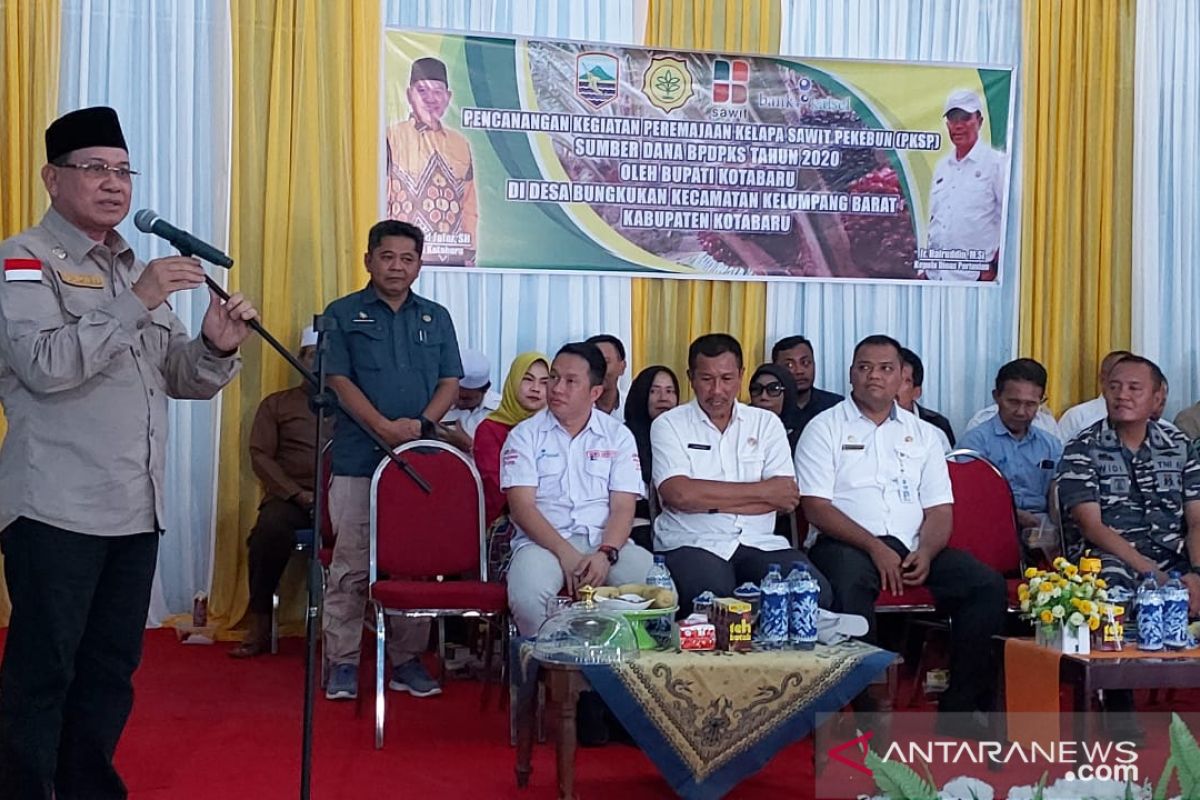 110 petani Kotabaru terima dana peremajaan sawit