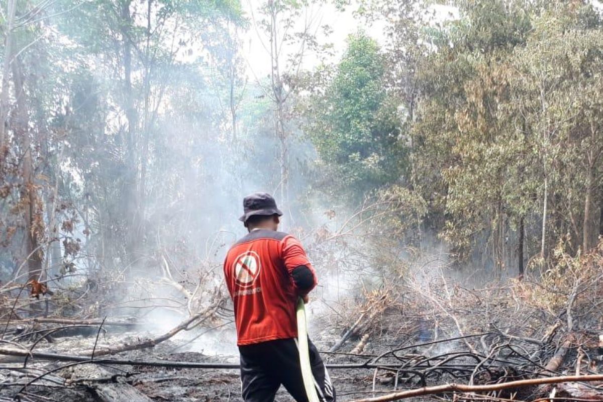 Helikopter water bombing padamkan karhutla di Siak