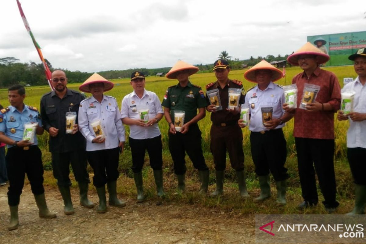 Pertanian organik Sanggau hasilkan beras sehat "Serumpun Borneo"