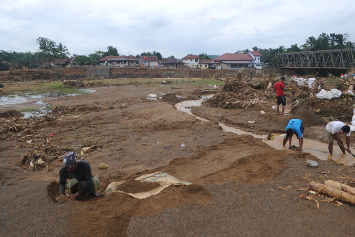 Warga keluhkan perkebunan bambu rusak akibat banjir di Lebak