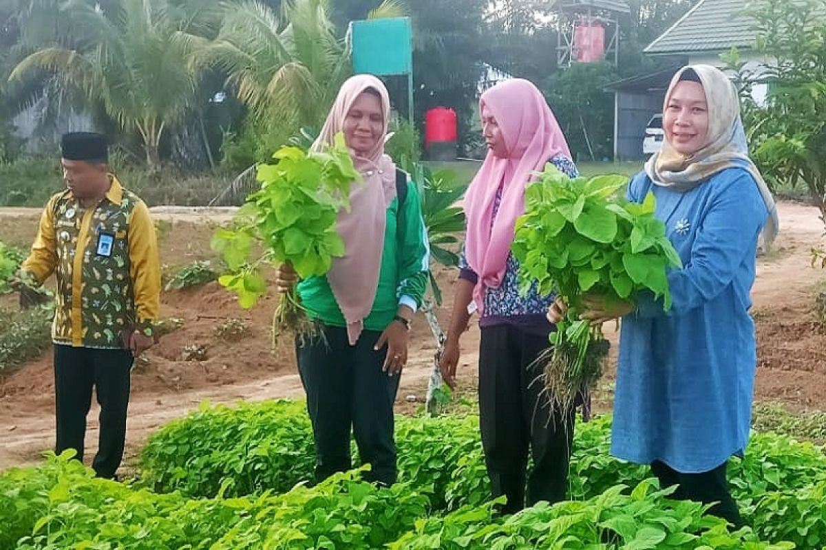 Lamandau siap hadapi lomba Hatinya PKK Kalteng