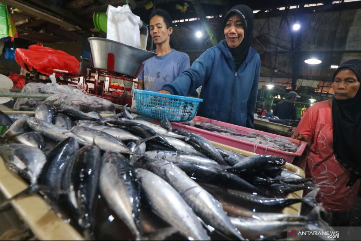 KKP targetkan konsumsi ikan capai 62 kilogram/kapita pada 2024