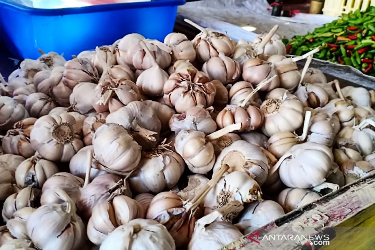 Harga bawang putih di pasar tradisional Lumajang mulai turun