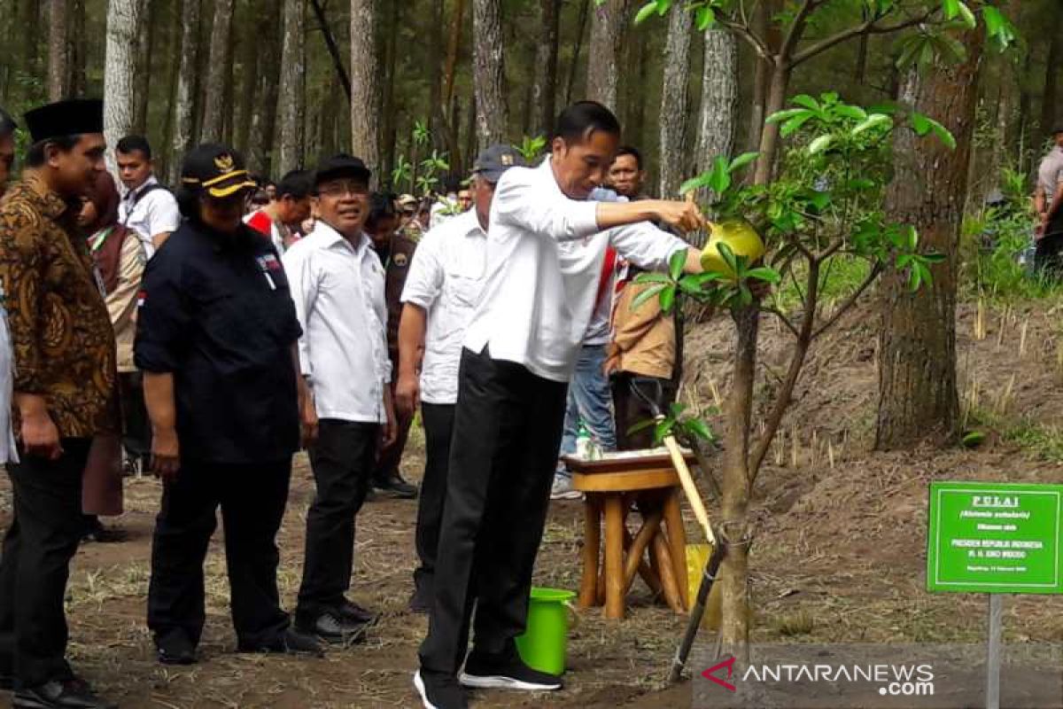 Jokowi lepas elang Jawa di Gunung Merapi