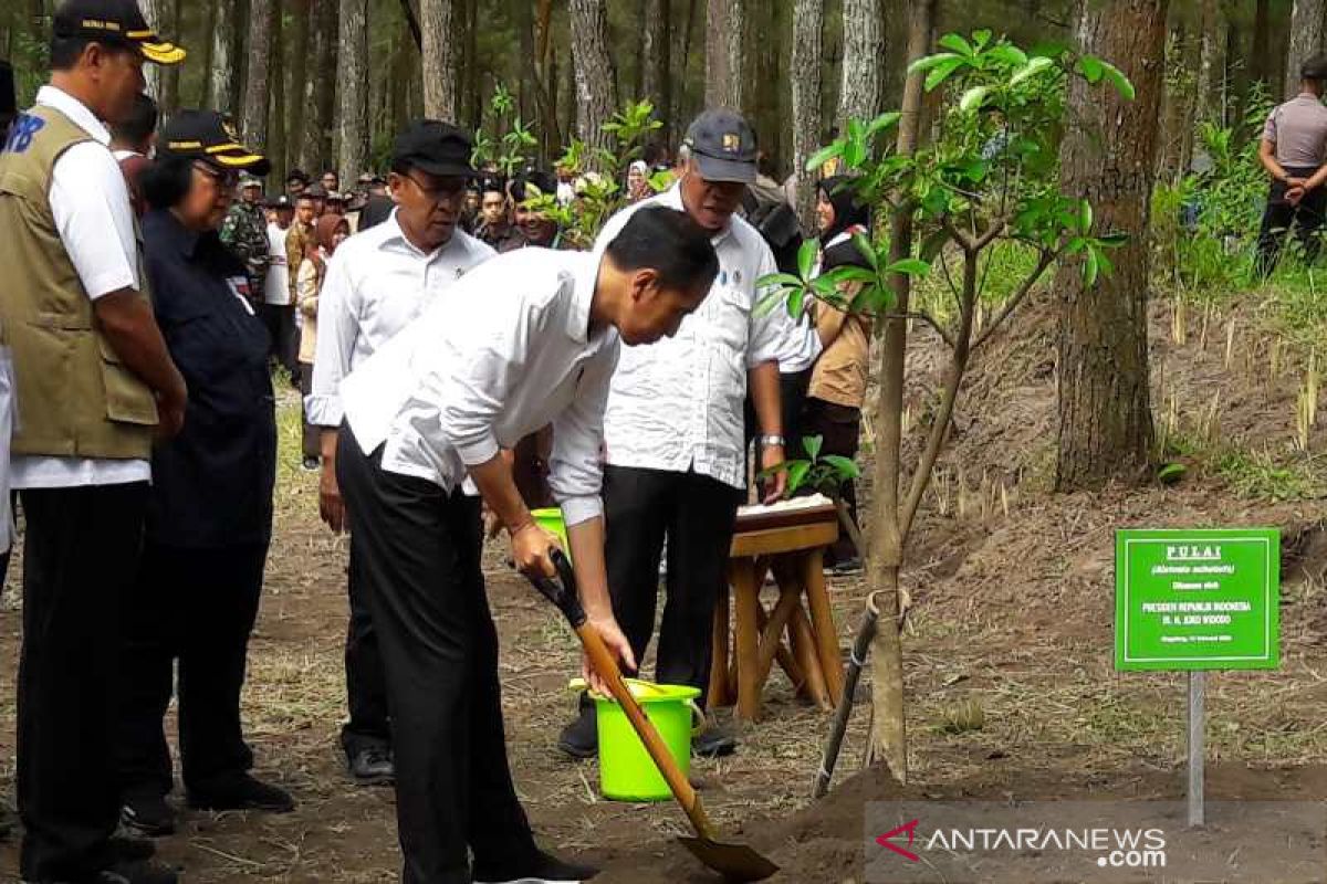 Presiden Jokowi  minta masyarakat terima kepulangan WNI setelah observasi di Natuna