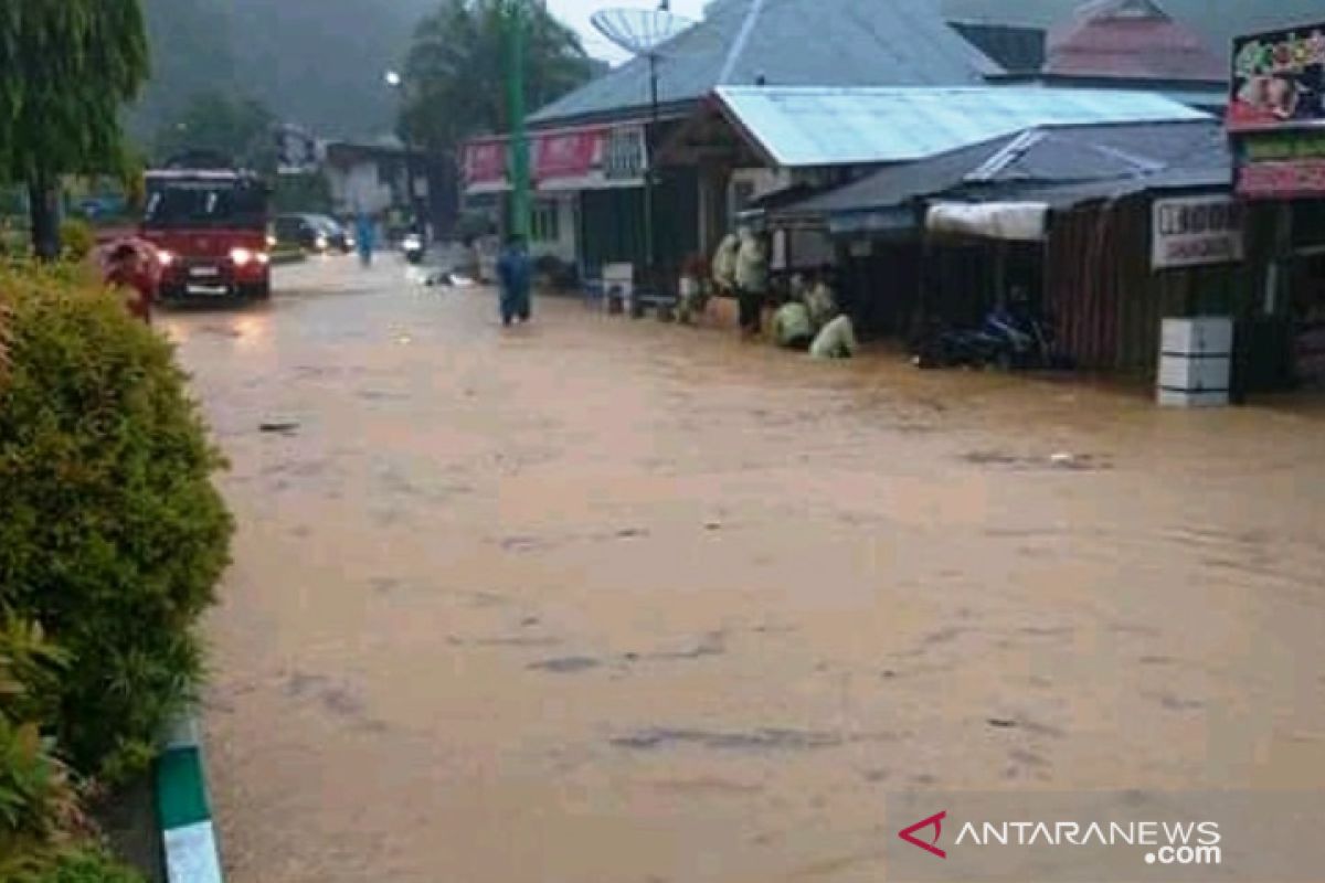 Painan direndam banjir