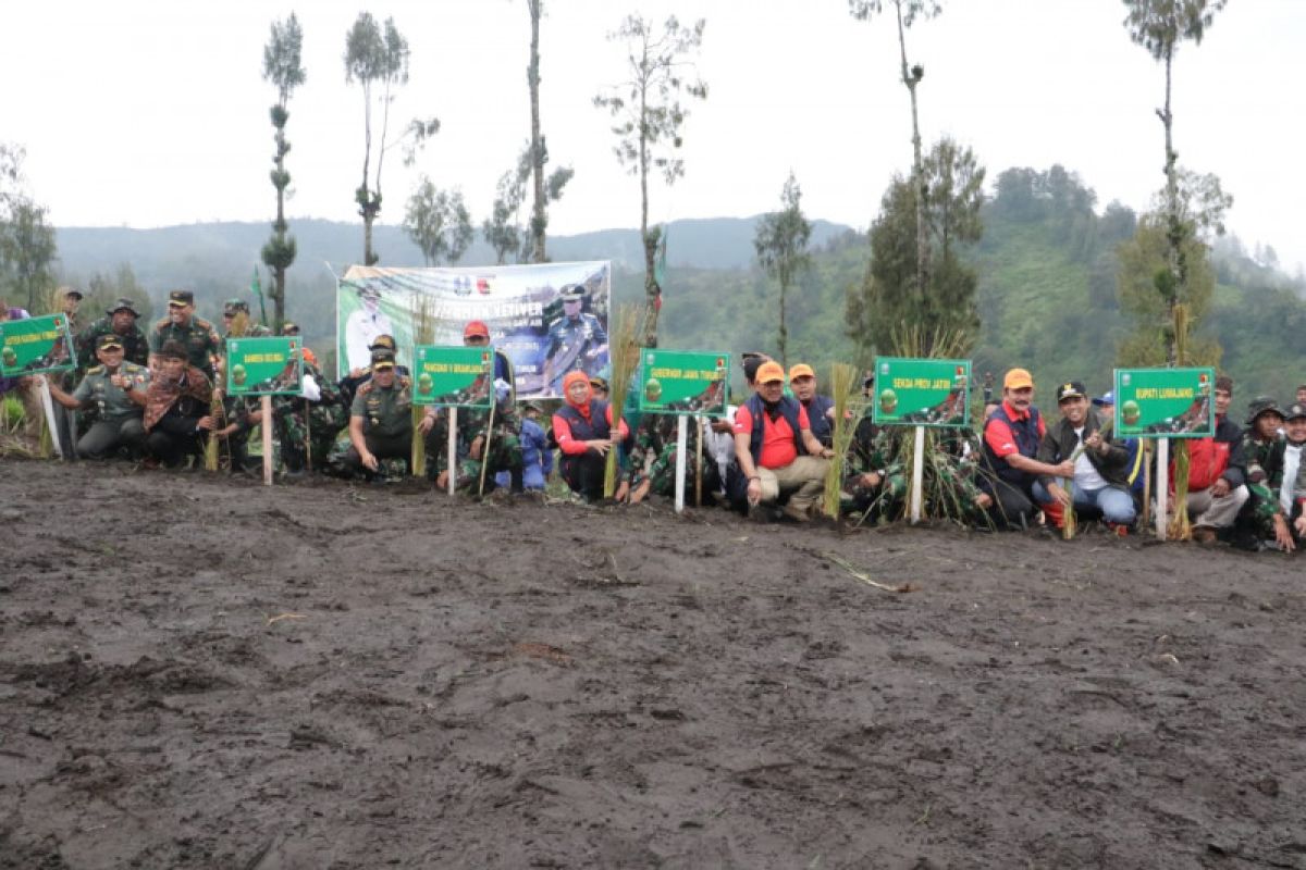 Gubernur Jatim-Pangdam tanam rumput vetiver di kaki Gunung Semeru