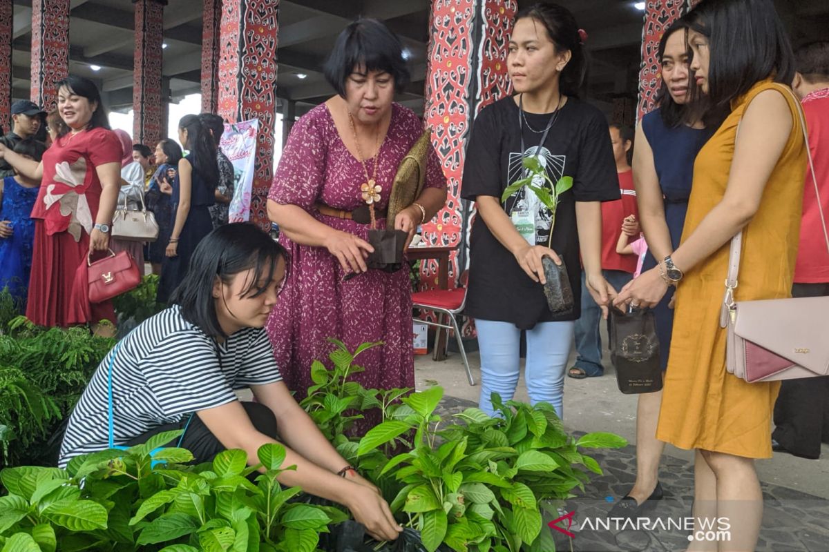 Bibit pohon jadi suvenir pernikahan