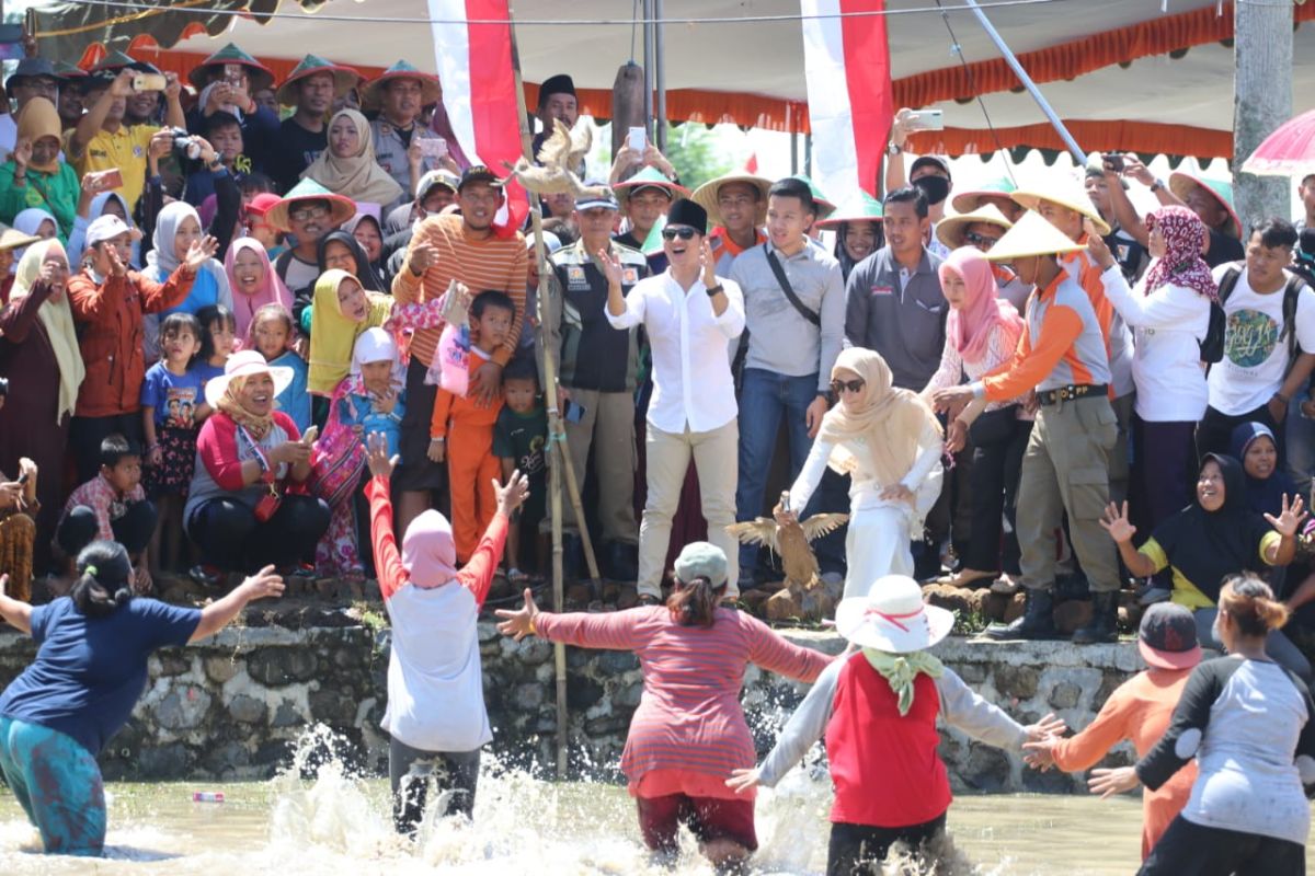 Komunitas pecinta budaya di Trenggalek gelar Festival Sawah