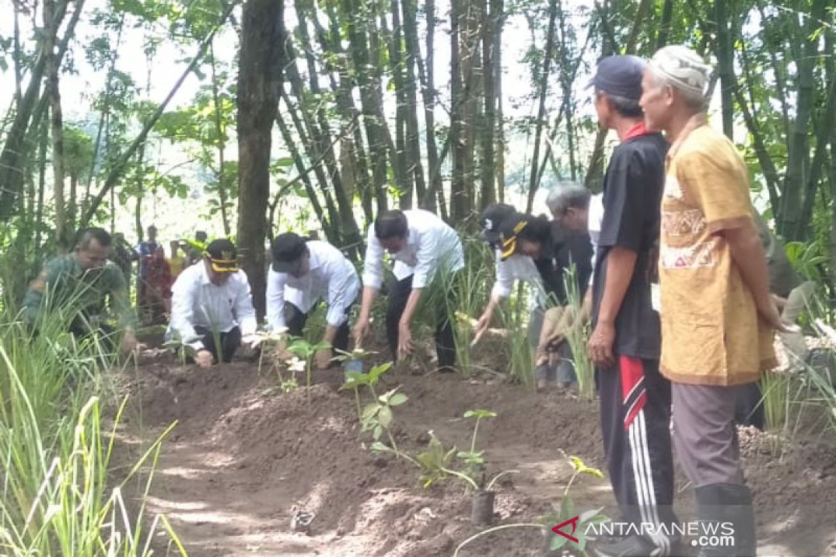 Jokowi sambangi Wonogiri ajak masyarakat manfaatkan lahan kritis