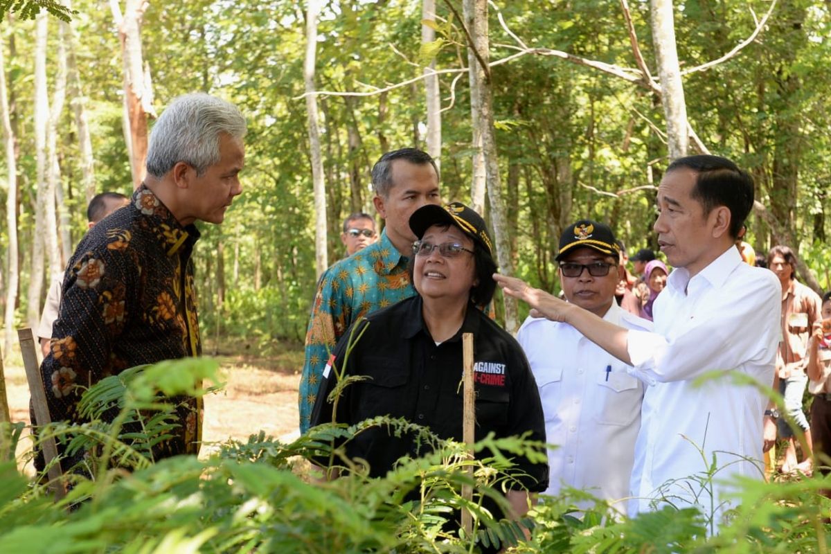 Jokowi reminds aides of carbon emission reduction target in 2020