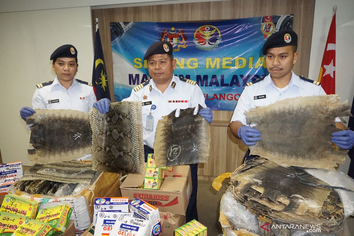 APMM Selangor gagalkan penyelundupan kulit ular dan biawak ke Malaysia