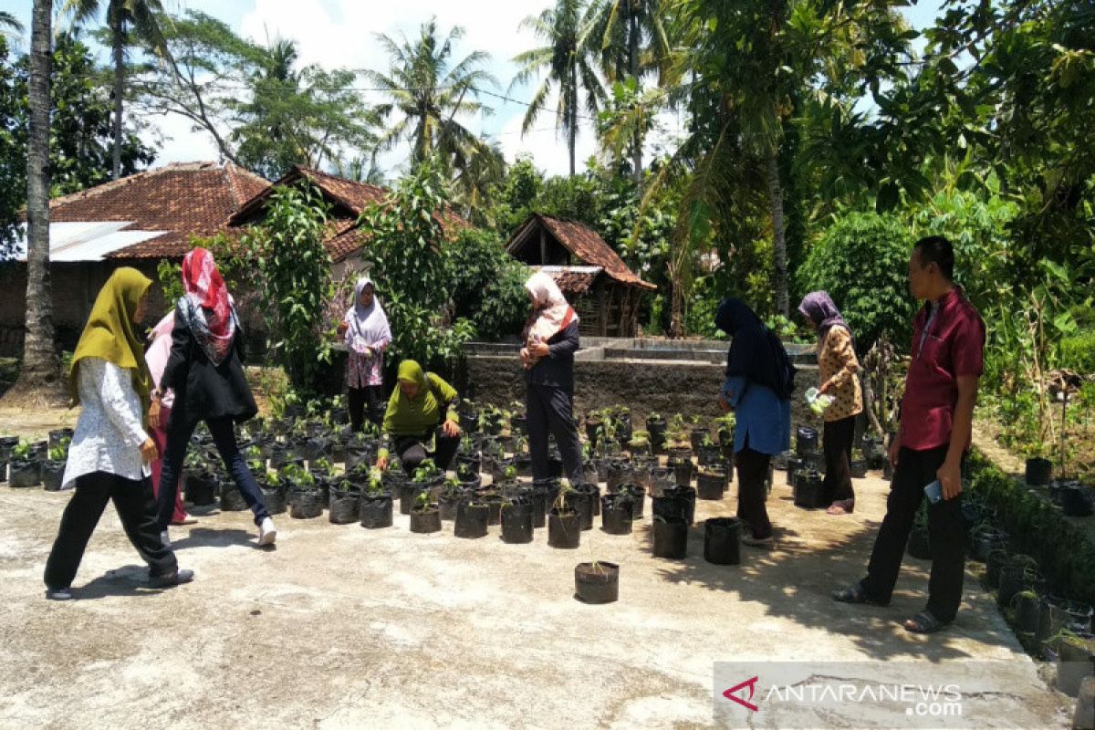 Kulon Progo melibatkan 187 kelompok wanita tani sediakan sayuran BPNT