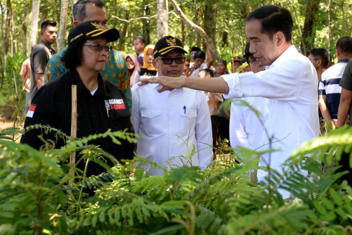 KLHK tindaklanjuti arahan Presiden Jokowi untuk lakukan rehabilitasi lahan