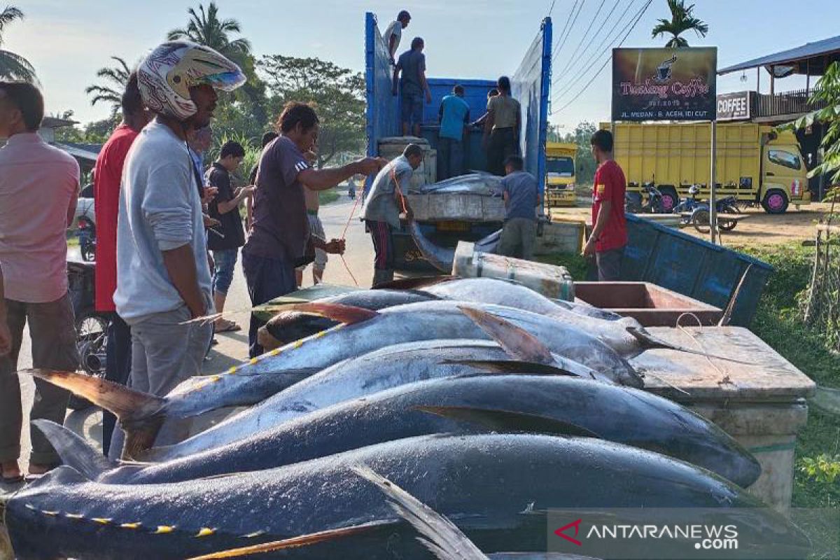 Ini keterangan polisi terkait truk terbalik di Aceh Timur