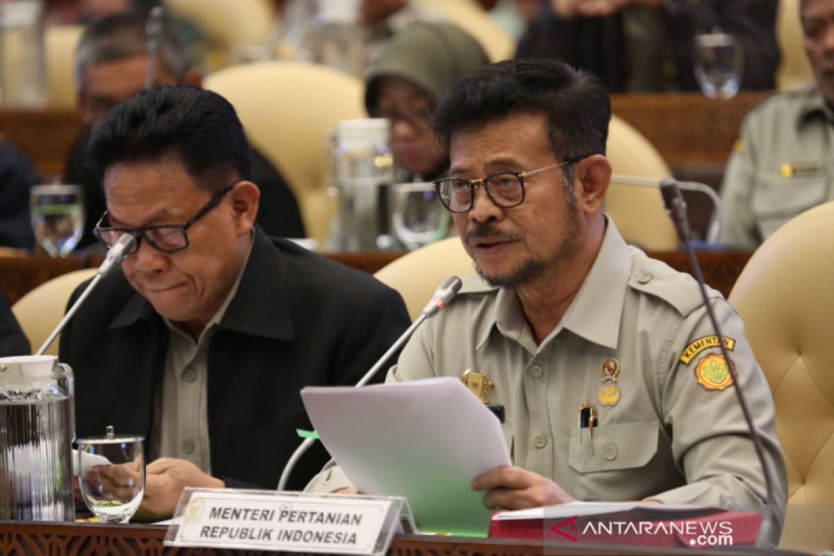 Mentan Syahrul jamin ketersediaan pangan jelang Ramadhan-Lebaran