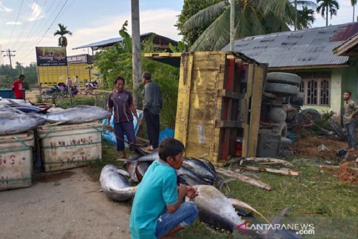 Truk Fuso bermuatan ikan terbalik di Aceh Timur