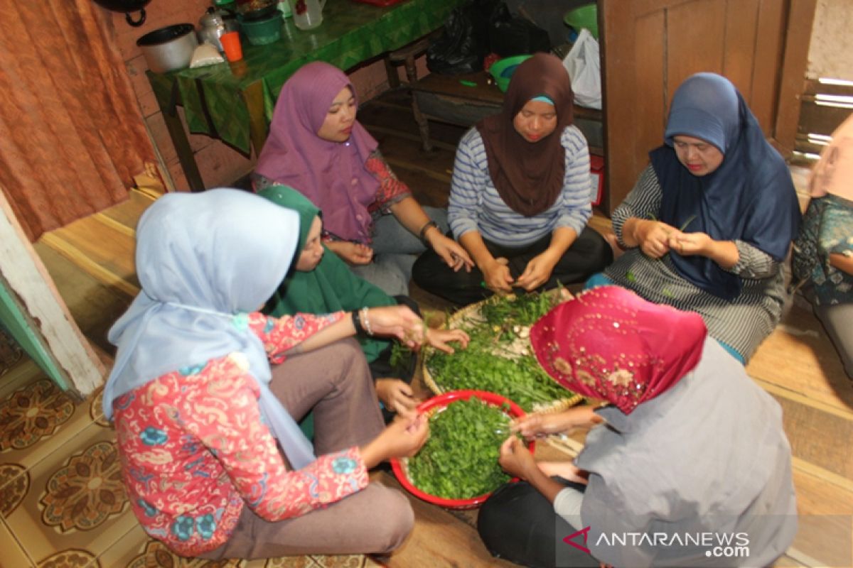 Di tangan kelompok perempuan Bengkulu ini, kecombrang diolah jadi beragam kuliner