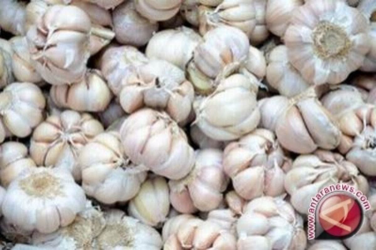 Harga bawang putih di Yogyakarta berangsur turun