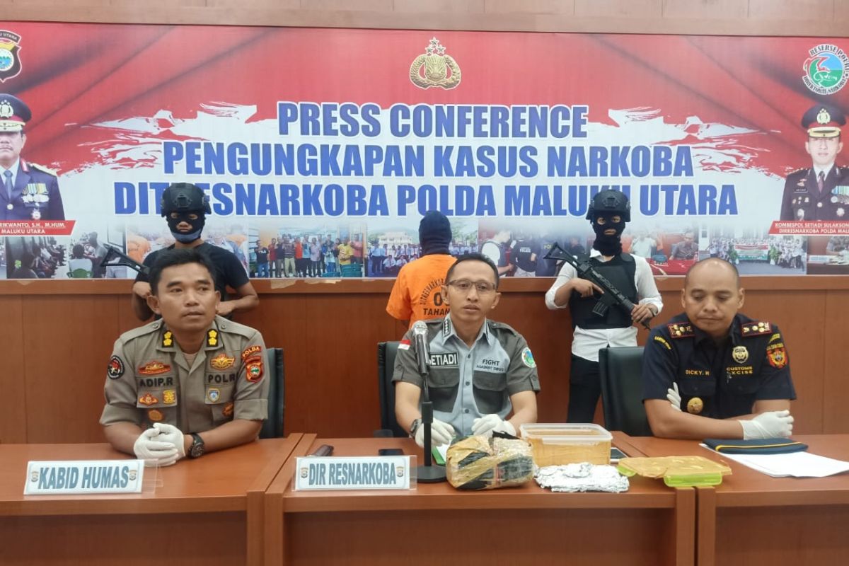 Polda Maluku Utara  tangkap mahasiswa pengedar narkoba