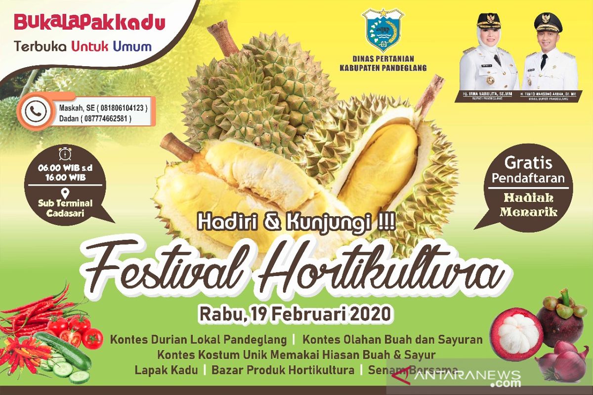 Distan Pandeglang Siap Gelar Festival Hortikultura 2020