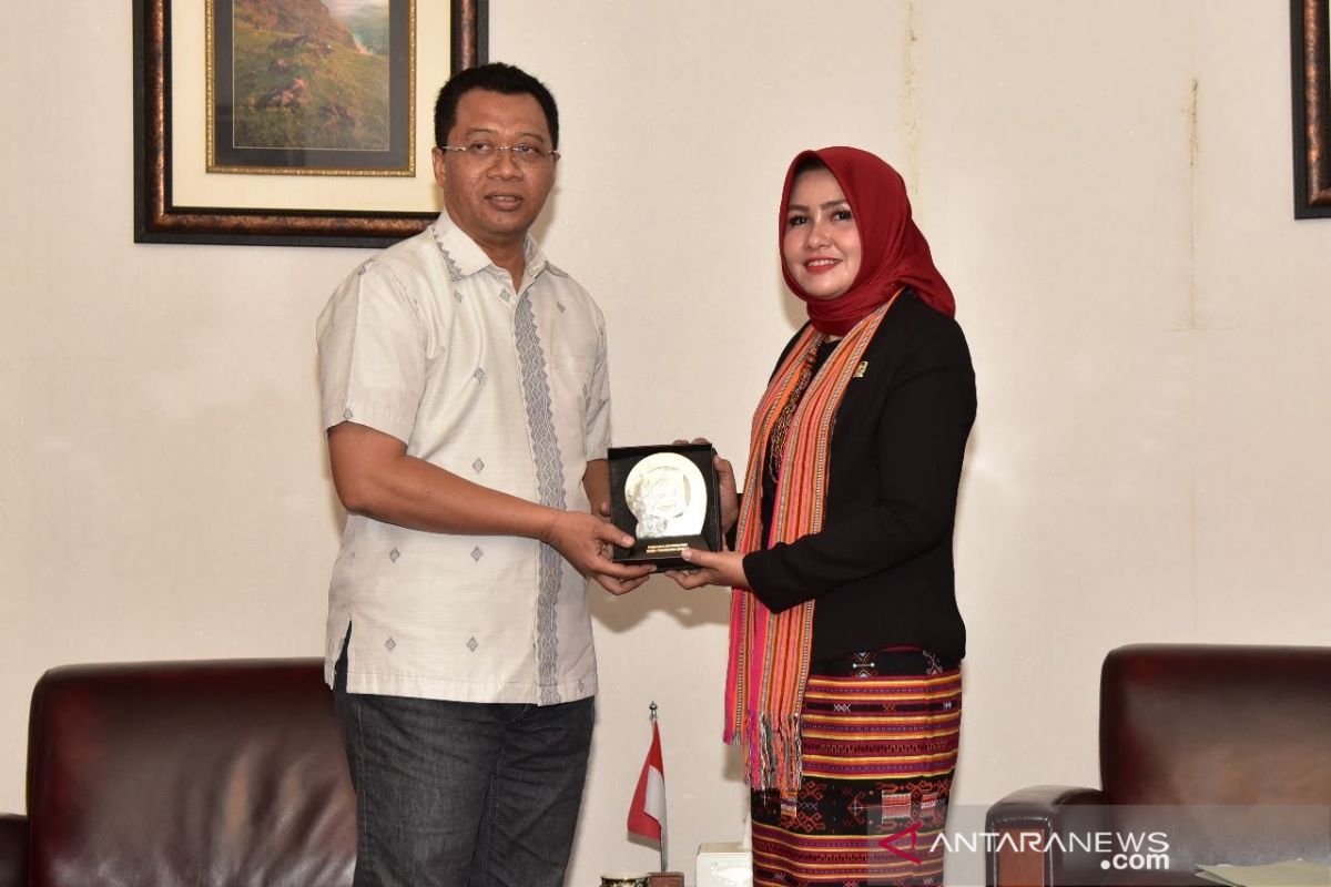 Gubernur NTB minta DPD menyuarakan pemerataan pendidikan Indonesia Timur