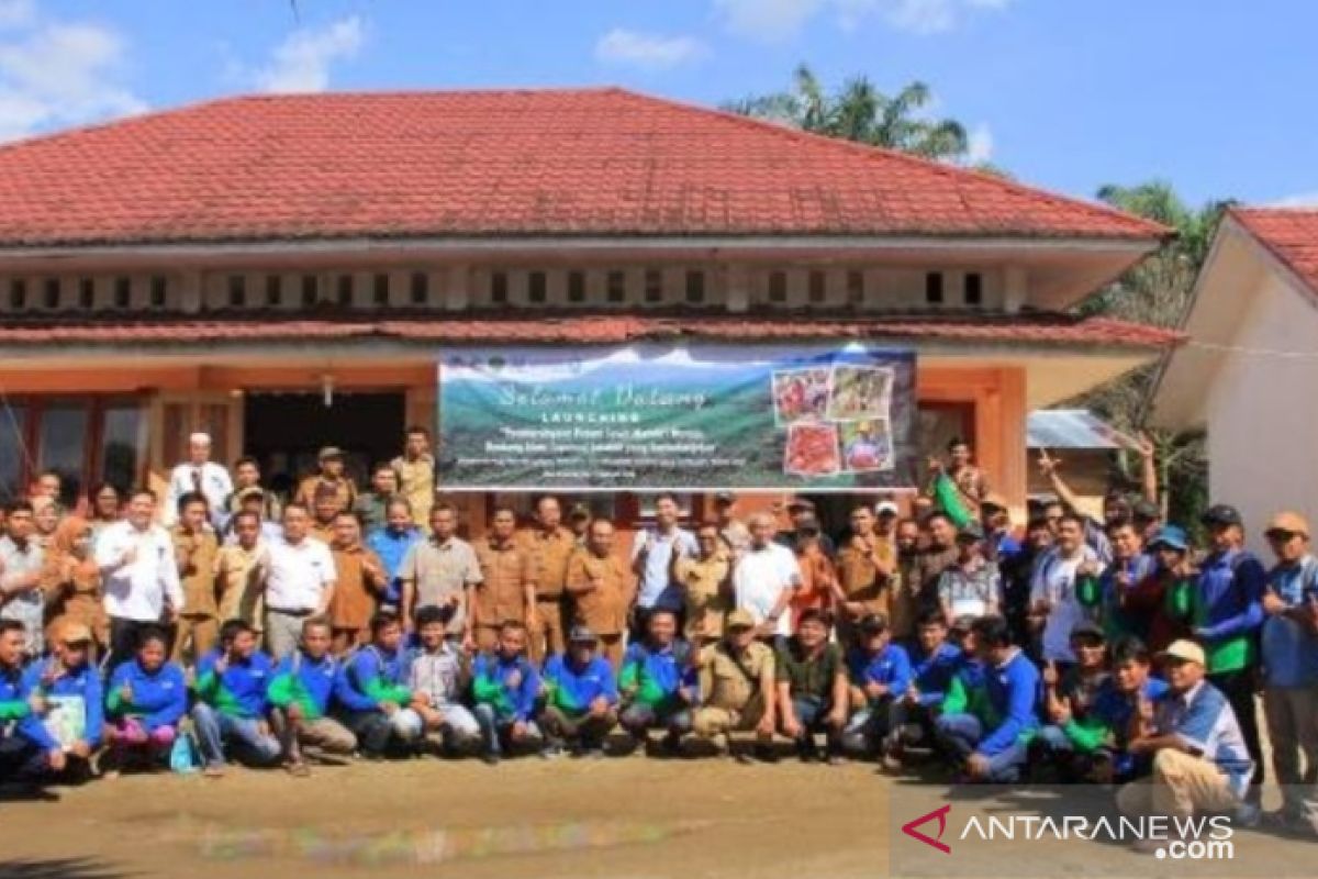 Konsistensi Tapanuli Selatan untuk sawit berkelanjutan