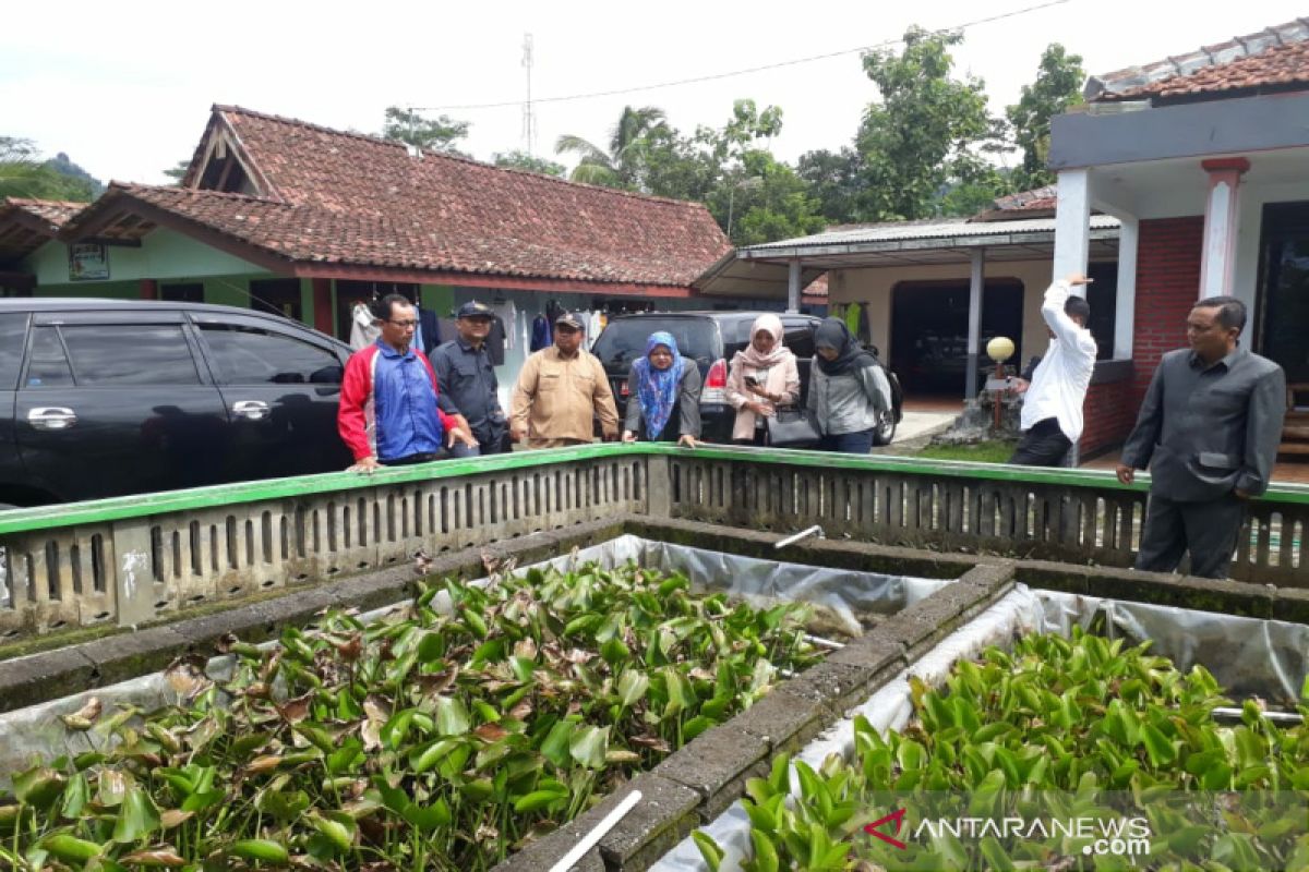 DKP Kulon Progo diminta kembangkan sentra budi daya ikan beong