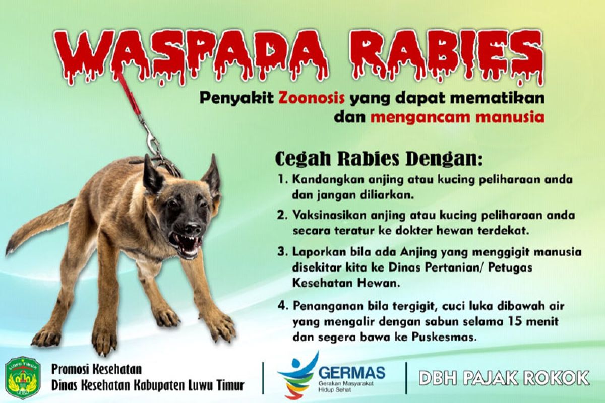 Pemkab Luwu Timur  minta warga waspada rabies