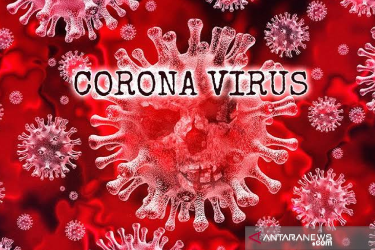 Imigrasi Siak pastikan 12 TKA asal Tiongkok negatif virus corona