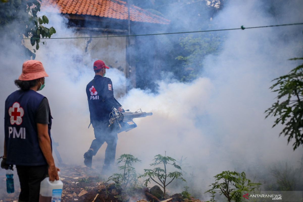 Warga Kabupaten Tangerang diminta waspadai penyakit chikungunya