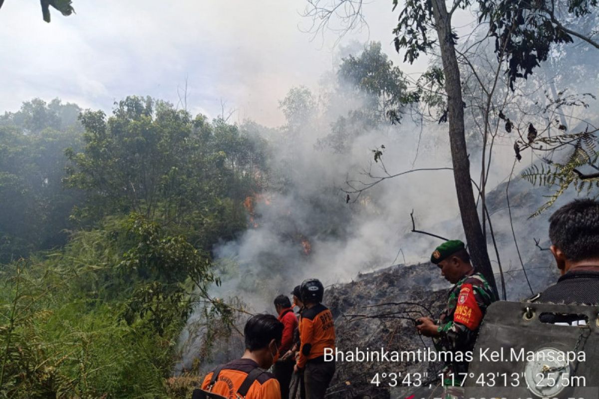 BMKG: Kaltara rawan karhutla