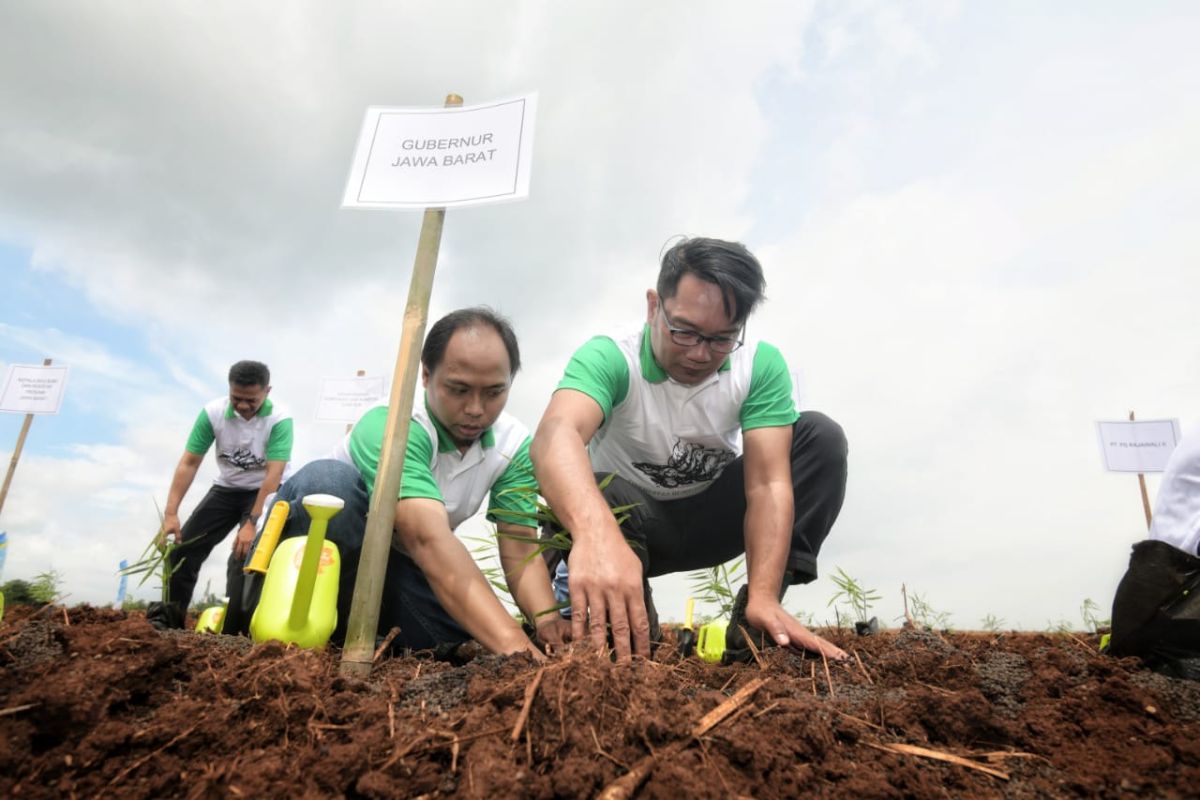 Penuhi kebutuhan pasar, Agro Jabar bentuk asosiasi petani