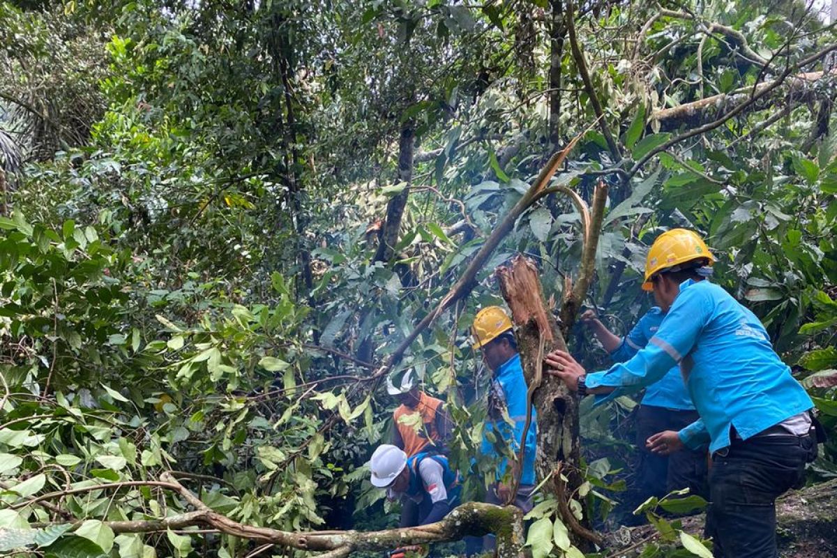 PLN ambil tindakan cepat, pasokan kelistrikan pasca bencana kembali normal